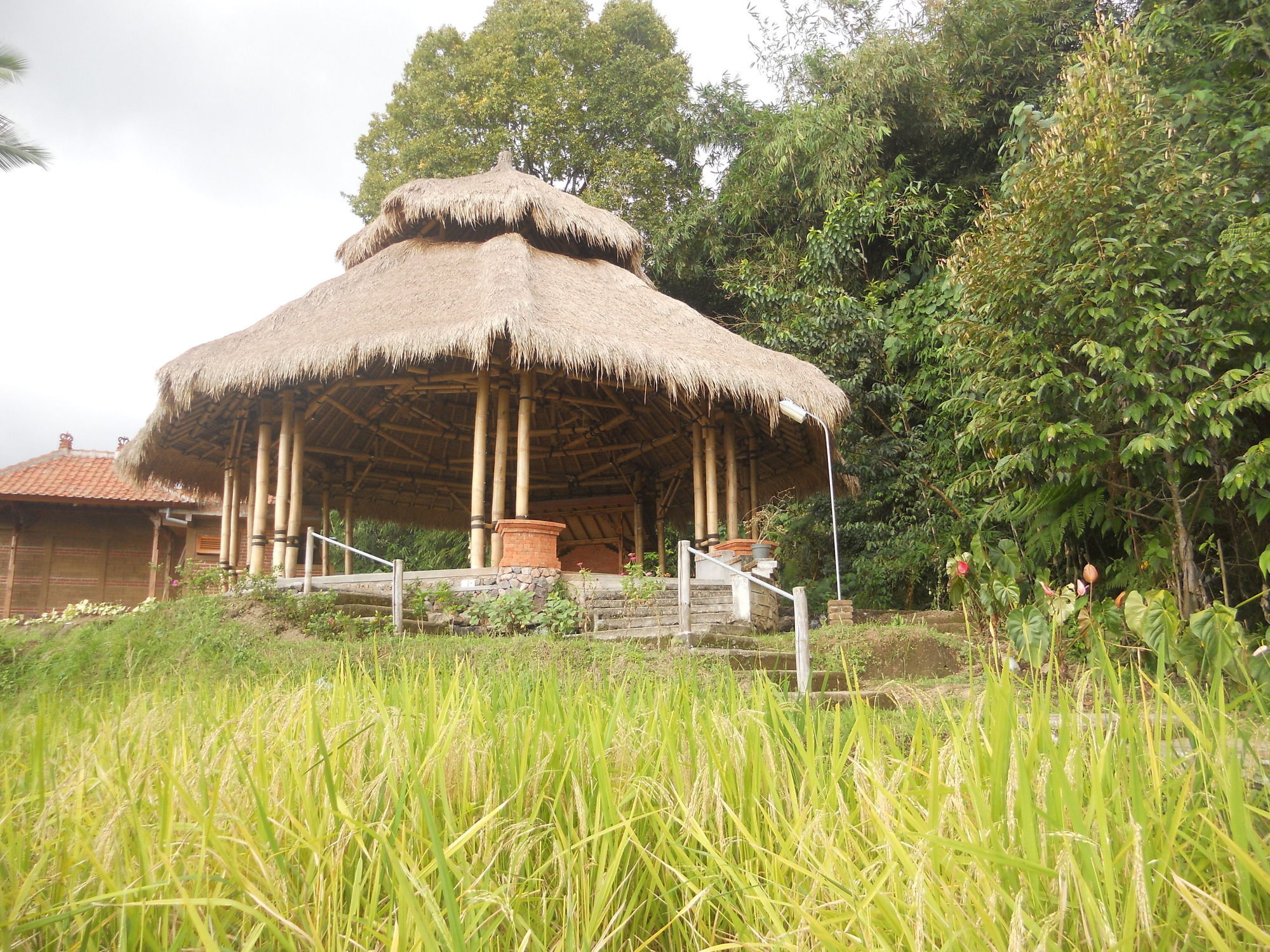 Puri Lumbung Cottages Gobleg  Exteriér fotografie