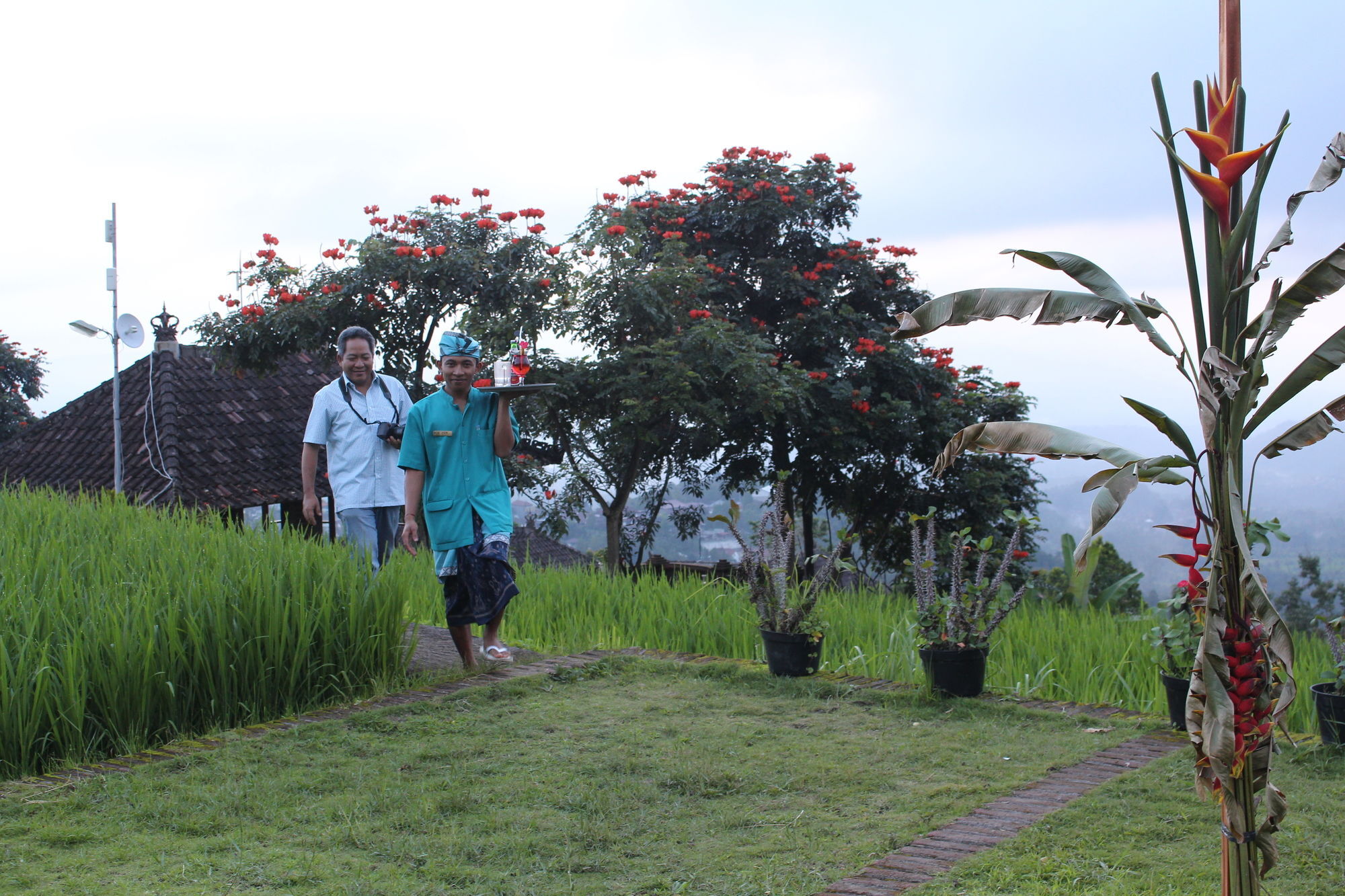 Puri Lumbung Cottages Gobleg  Exteriér fotografie