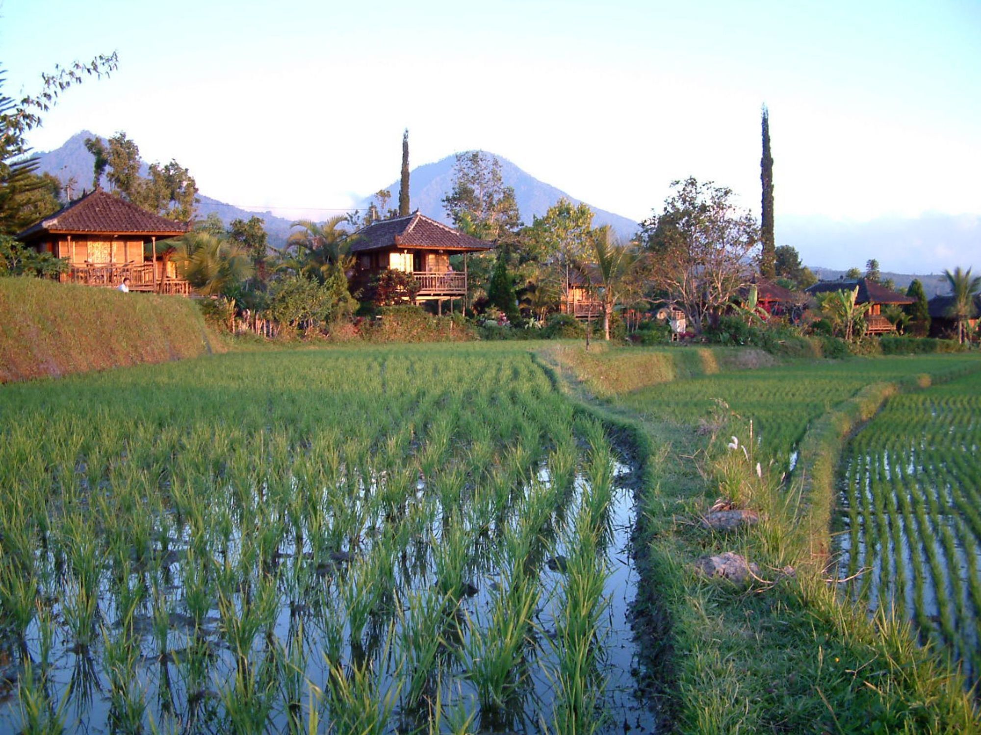 Puri Lumbung Cottages Gobleg  Exteriér fotografie